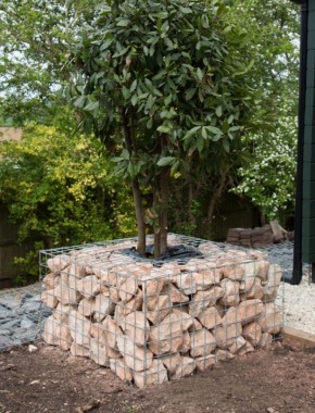 Gabion Planter